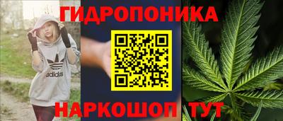 СК Будённовск