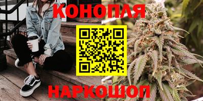 СК Будённовск